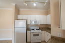 flstellar/c1eedc8385dfed7277fd1dec49d19378.jpg?width=131&height=105&format3=webp