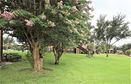 flstellar/c7357cced9340a4d12a83910c3b49dc9.jpg?width=131&height=105&format3=webp