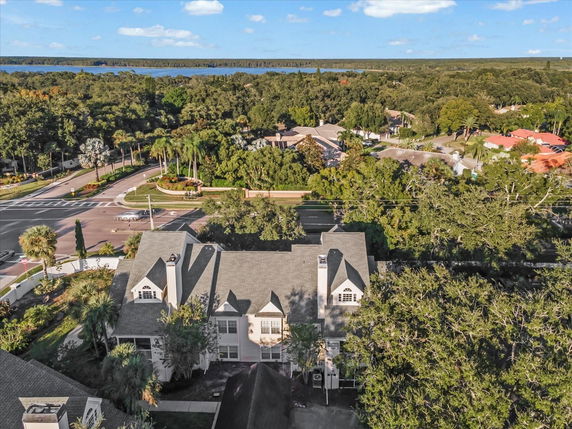 Aerial view of a large house with complex roof design surrounded by greenery and roads, with a lake in the distance.