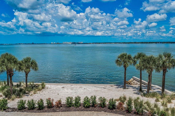 Panoramic view of a large body of water with a sandy shoreline and palm trees.