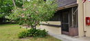 flstellar/dc87e921c4f6d2441a2faed5b6098f7f.jpg?width=131&height=105&format3=webp