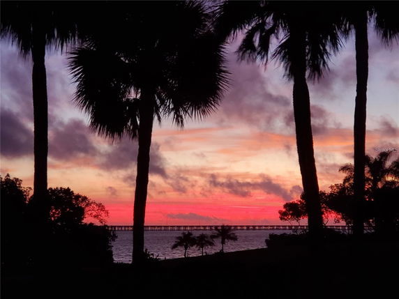 Sunset view with silhouette of palm trees and a distant bridge over the water.