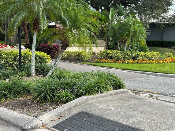 View of a landscaped area with palm trees and plants near a road.