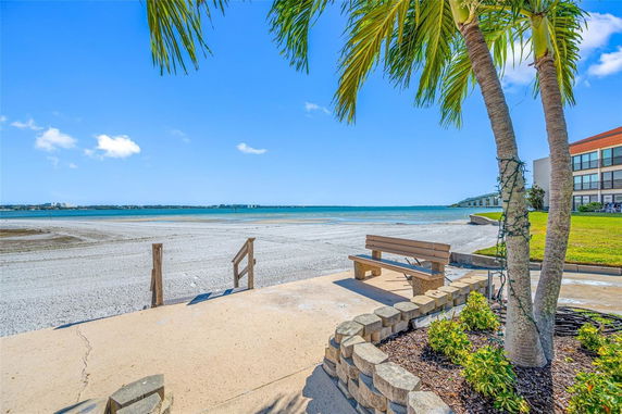 Panoramic view of a beachfront with a bench and palm trees.