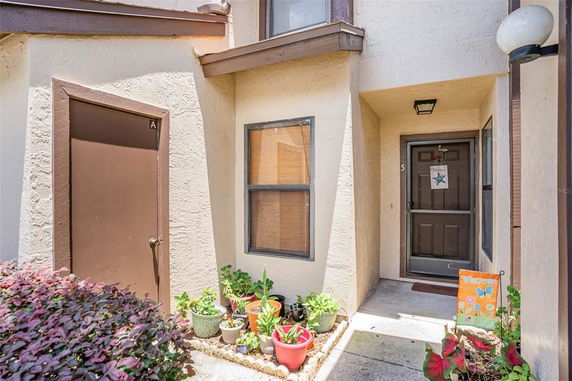 Entrance area of a house with a brown door and potted plants.