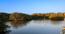 flstellar/facee40fd0e19228dc704441a51382fd.jpg?width=131&height=105&format3=webp
