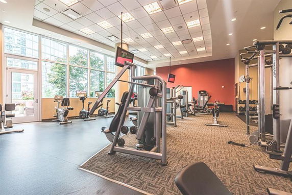 Interior view of a gym with exercise machines and weights.