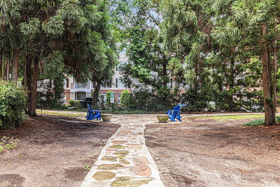 View of a path leading through trees with blue chairs in an outdoor setting.