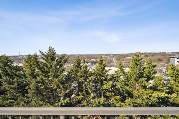 Panoramic view of the surrounding area with trees and buildings in the distance.
