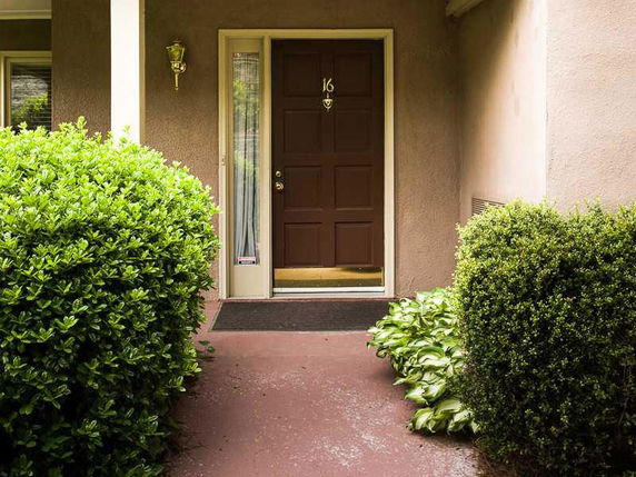 Front view of a house entrance with a brown door and surrounding shrubbery.