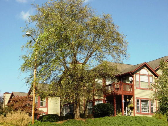 Front view of a two-story house with multiple windows and a balcony.