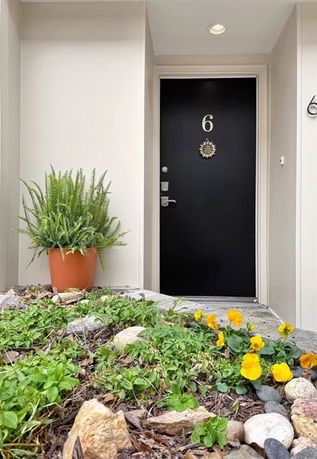 Front view of an entrance with a black door numbered 6 and a potted plant.