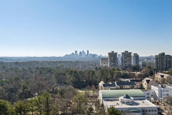 Panoramic view of a city skyline with tall buildings and trees in the foreground.