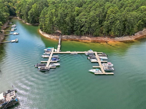 View of a marina with multiple boats docked, surrounded by a forested shoreline.