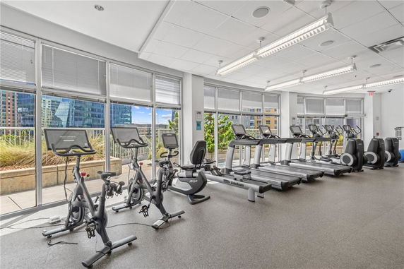 Interior view of a gym with exercise bikes and treadmills.