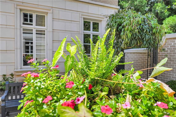 Front view of a building with windows and a surrounding garden.