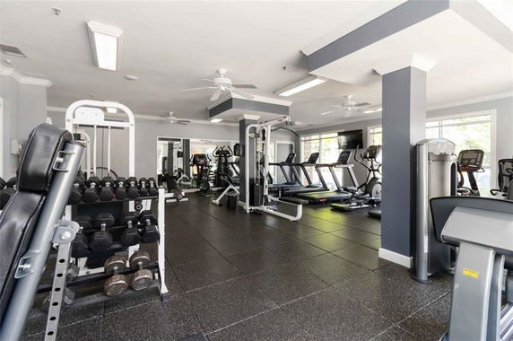 Indoor gym with treadmills and weightlifting equipment.