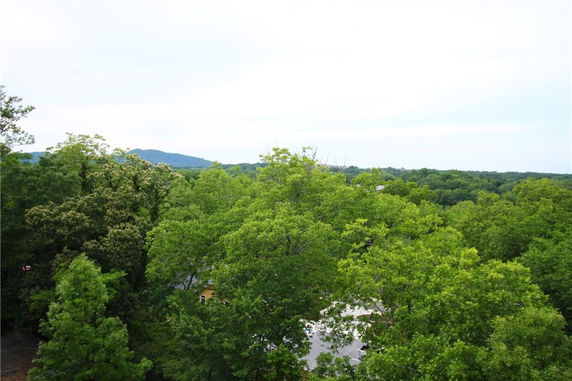 View of a lush green forest with hills in the distance.
