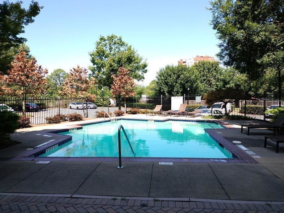 Outdoor swimming pool surrounded by trees and lounge chairs.