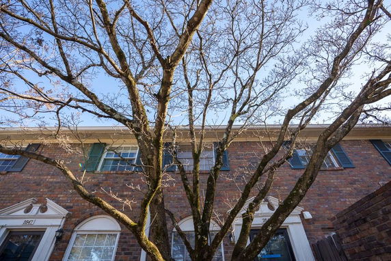 Front view of a two-story brick townhouse with visible windows and a tree in the foreground.