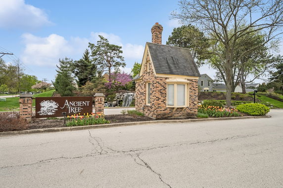 Front view of a small brick building with a chimney and a sign that reads 'Ancient Tree'.