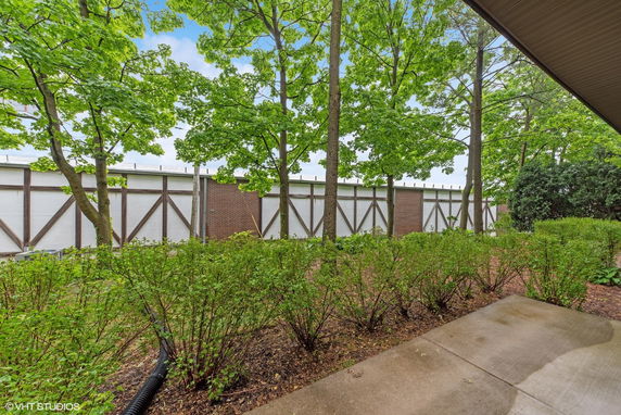 View of trees and a building with a brick wall and wooden support beams.