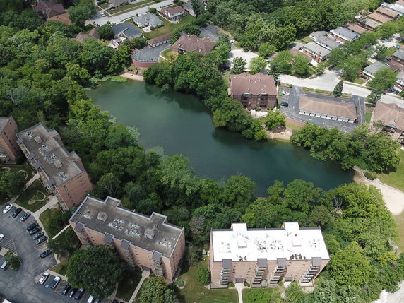 Aerial view of residential buildings near a lake surrounded by trees.