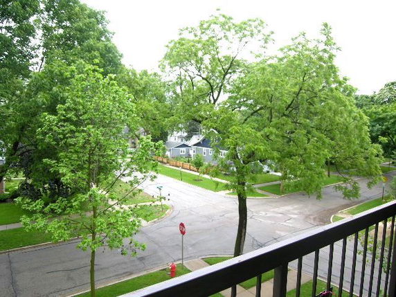 Panoramic view of a suburban street from a balcony with trees and houses visible.