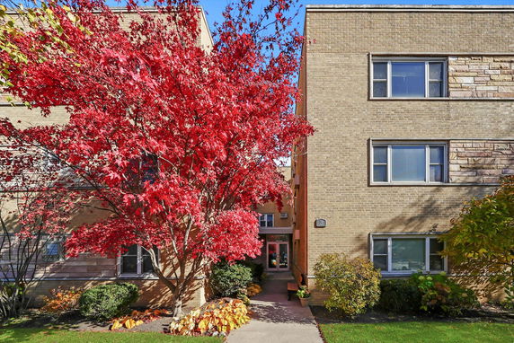 Front view of a three-story brick building with windows and a red-leafed tree in front.