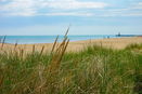 ilmred/11724230c5b0218a9c30d96960ca1cb6.jpg?width=131&height=105&format3=webp