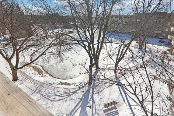 Snow-covered landscape with bare trees and a frozen pond, as seen from above.
