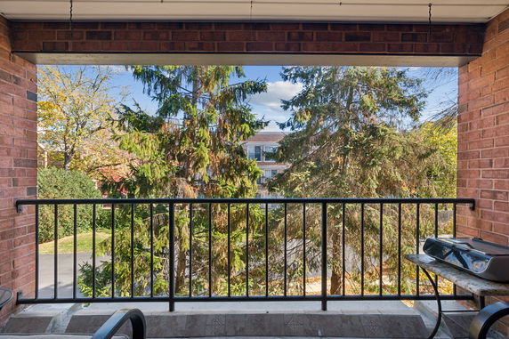 View from a balcony overlooking trees and a distant building.