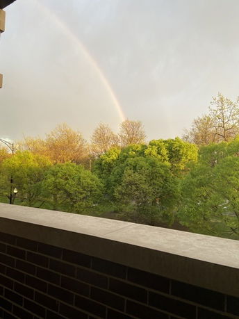 View of surrounding trees and a rainbow from a building.
