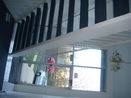 ilmred/15915655c1be9ced25e0a793bf61dddb.jpg?width=131&height=105&format3=webp