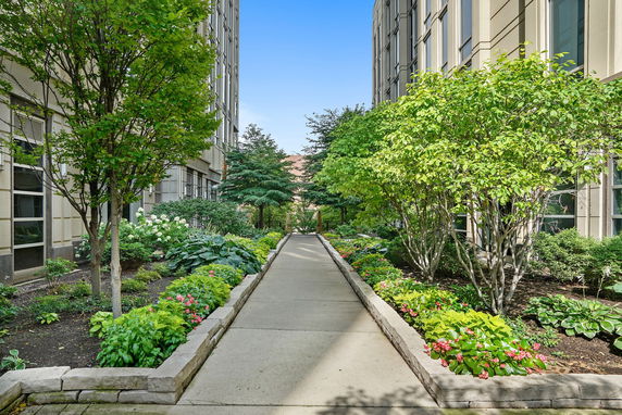 A pathway flanked by lush gardens and tall buildings on both sides.