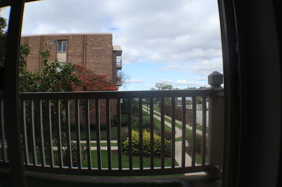View from a balcony overlooking a garden walkway and adjacent building.