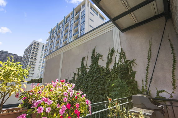 View of surrounding buildings and a wall with ivy, including a rooftop garden with flowers.