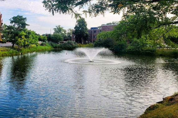 View of buildings seen from across a pond with a fountain.