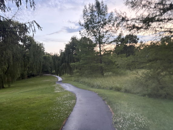 Paved path winding through a grassy area with trees.