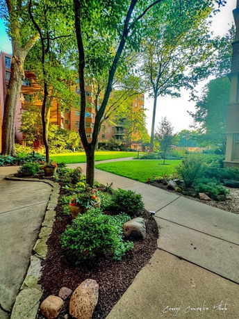 Pathway and garden view near a multi-story residential building.