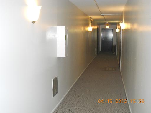 Building Images