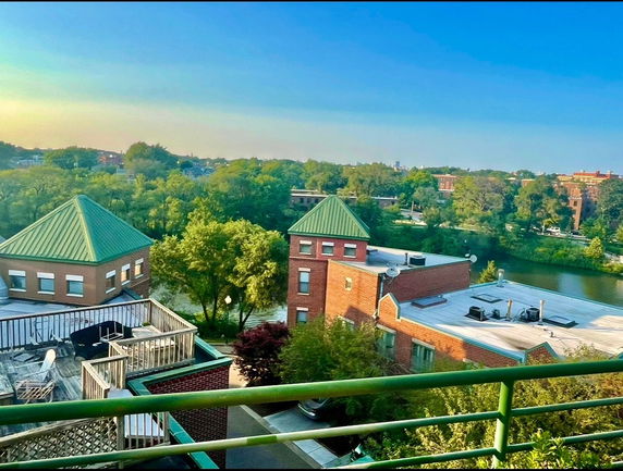 Panoramic view from a building overlooking trees, rooftops, and a river.