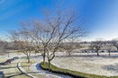 ilmred/246d0b1e20e62f591635d9068240ed58.jpg?width=131&height=105&format3=webp