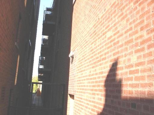 Building Images