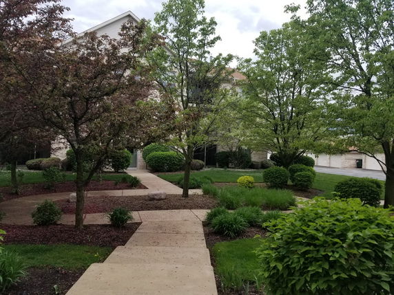 Front view of a multi-story house partially obscured by trees and shrubs.