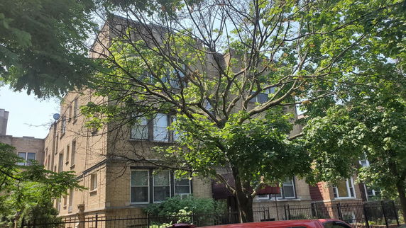 Front view of a multi-story brick building partially obscured by trees.