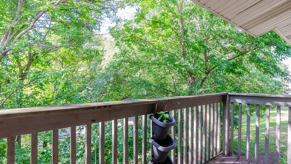 View from a balcony overlooking a lush, green area with trees.