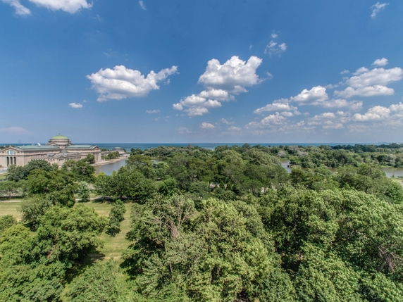 Wide-angle view of lush green trees with a body of water and buildings visible in the distance under a clear blue sky.