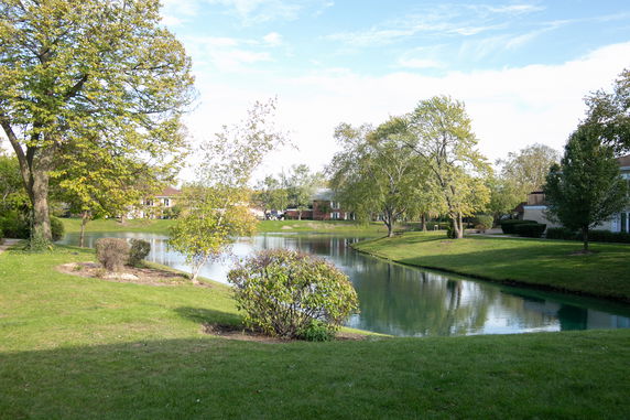 View of a landscaped area with a small pond surrounded by grass and trees.