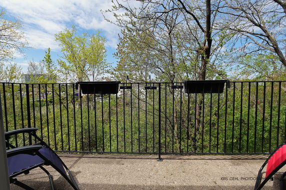 View of surrounding trees and sky from a balcony with metal railing.